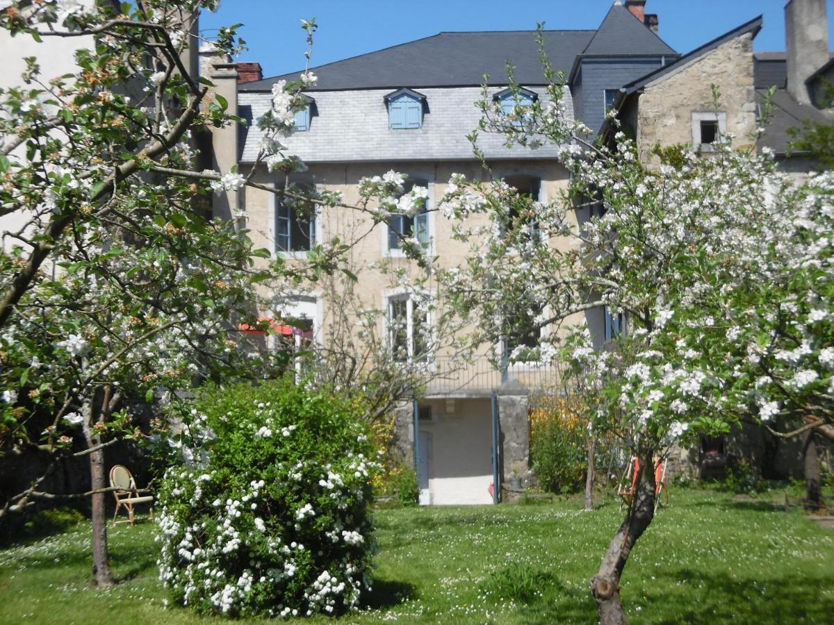 La Suite Du Peintre Oloron-Sainte-Marie Dış mekan fotoğraf